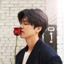 박지현 카카오 검색결과