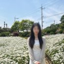 강화 데이지 꽃 카페 로뎀트리, 우연히 발견한 강화도 예쁜카페 내돈내산 리뷰
