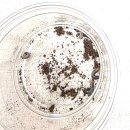 장수비닐봉투 | 장수풍뎅이 키우기 5편 : 뎅이(암컷)의 죽음과 유충발견