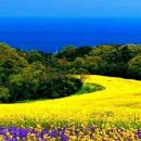 화성수지 이미지