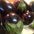 심야식탁 이미지