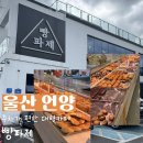 창뷰 | 울산 언양 가성비 베이커리 대형 카페 빵파제 내돈내산 후기