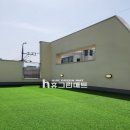 몽구네 애견유치원 이미지