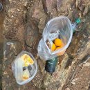 월류봉광장화장실 | 월류봉 산행 후기 달도 머물다가는 월류봉 1봉에서 5봉까지 가파른 경사 한반도 지형