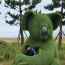 연곡해변 입구 | 알차게 보내고 온 강릉 해변투어 ㅡ남항진,안목해변,강릉 동부시장&amp;연곡 솔향기 캠핑장 해수욕장