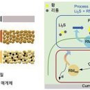 환원 이미지