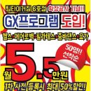 팀타이거짐 이미지