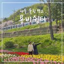 강변쉼터 | 서울 튤립 명소 용비쉼터 응봉나들공원 가는법 개화 주차 팁