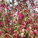 수양2 농장 이미지