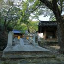 일향(一香) | 남해군 - 용문사