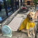 뚜레박장어구이 이미지