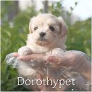 해맑은2농장 이미지