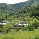 산적소굴 이미지