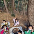 안성자연유치원 이미지