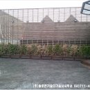 낙원상가 이미지