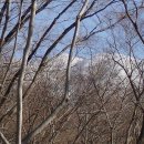 백운산 신촌 이미지