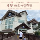 주)용평리조트 피크아일랜드 이미지