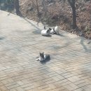 어컴커피앤티컴퍼니