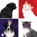 아트플러스 이미지