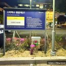 스타벅스 평촌역DT점 이미지