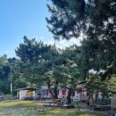 태안별장 | 충남태안여행 나솔사계 촬영지(연포해수욕장) 25. 8.14~15