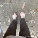 평안건기 이미지