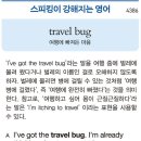 travel bug 이미지