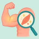 이지 스트랭스 이미지