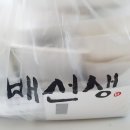 배선생