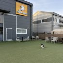 멍스 크로스 이미지