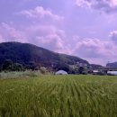 분식까페 이미지