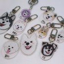 강아지 멋내기 이미지