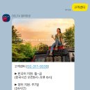 미국 국내선 델타항공 예약하기 / LA 여행 / SEA 시애틀 - SNA 산타아나 존웨인