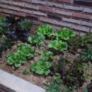 해성정육식당 이미지