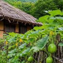 당신덕분에 와 당신 때문에 의 차이 이미지