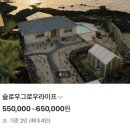 슬로우그로우라이프 | [제주도] 나만 알고 싶은 제주도 숙소 1등, 협재해변 슬로우그로우라이프 (프로포즈 후기)