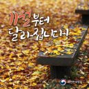 베드로야 내가 물위를 슬릭백