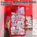 케이스티파이 에스더버니 임팩트 케이스 구매후기 (블프할인)
