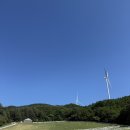 진태목장 | 강원도 평창 아이랑 가볼만한곳 대관령 하늘목장 아이 인생샷 진태원 탕수육 황태회관