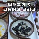 제주 딱새우회 맛집 세트로 주문하면 가성비 업 식감이 남다르게 좋더구만유 이미지