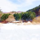 산골초가 이미지