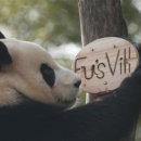 패밀리농장 이미지