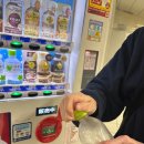 (목) 써니김밥 | [공지] 후쿠오카 3박4일 일정 ①｜야키토리·츠케멘·칼디 쇼핑·스시·디저트까지 완벽 코스