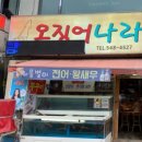 낭만오징어 이미지