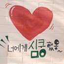 오션 비스타 제주호 | 오션비스타 제주호 운행 시간, 삼천포에서 제주도 쾌적하게 운행!