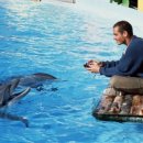 그랑블루 이미지