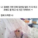 황금분식 이미지