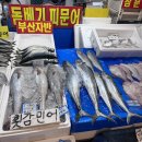 세성문어