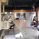 루이펫샵 이미지