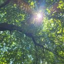 고전과의대화 이미지